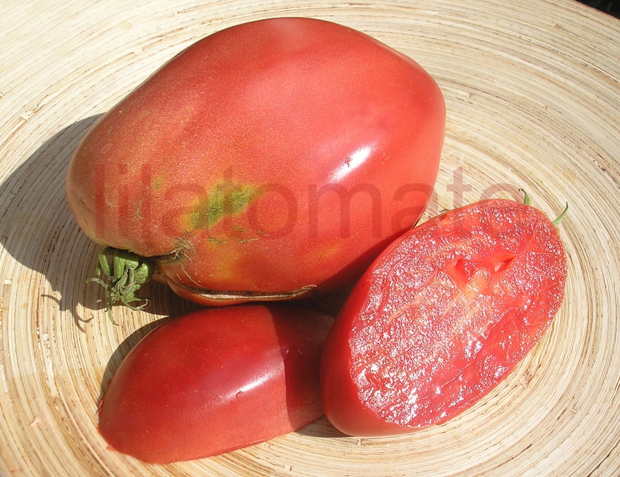 Tomate 'Herztomate aus Neuseeland' (Arbeitstitel) Saatgut