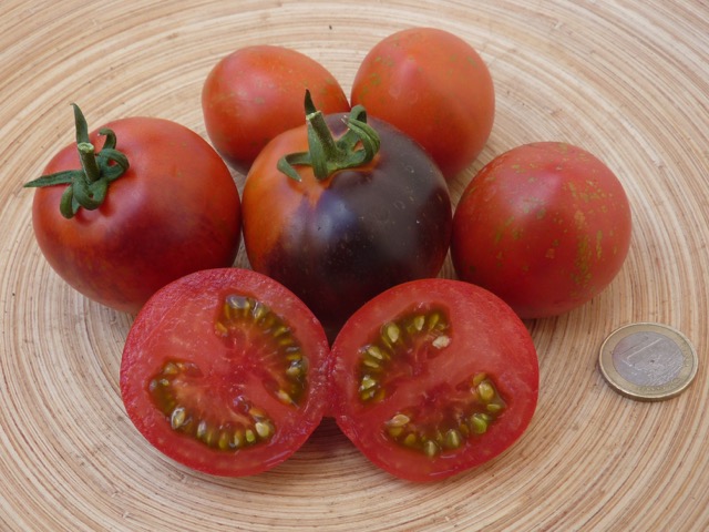 Tomate 'Dark Galaxy'