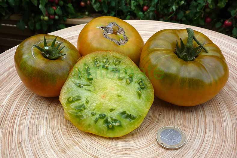 Tomate 'Smaragdapfel' 