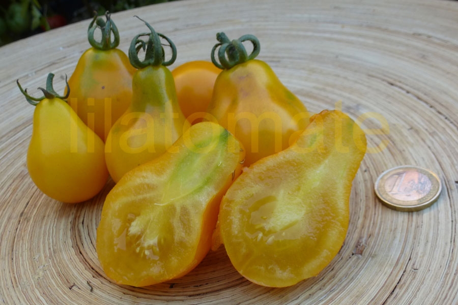 Tomate 'Birnenförmige gelbe Mittelgroße' = 'Gelb Oval' Saatgut