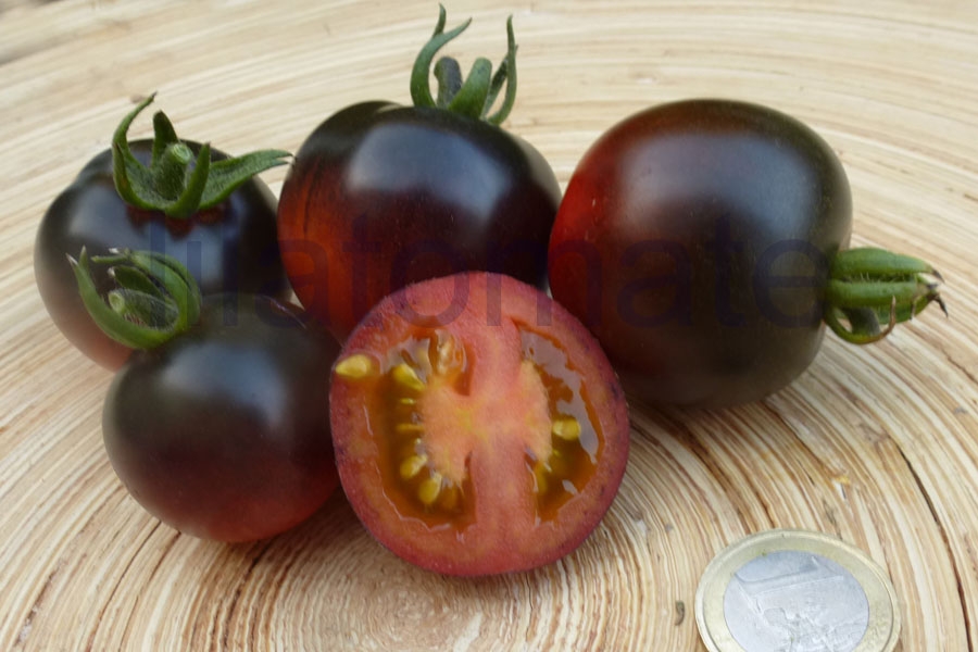 Tomate 'TW 25'