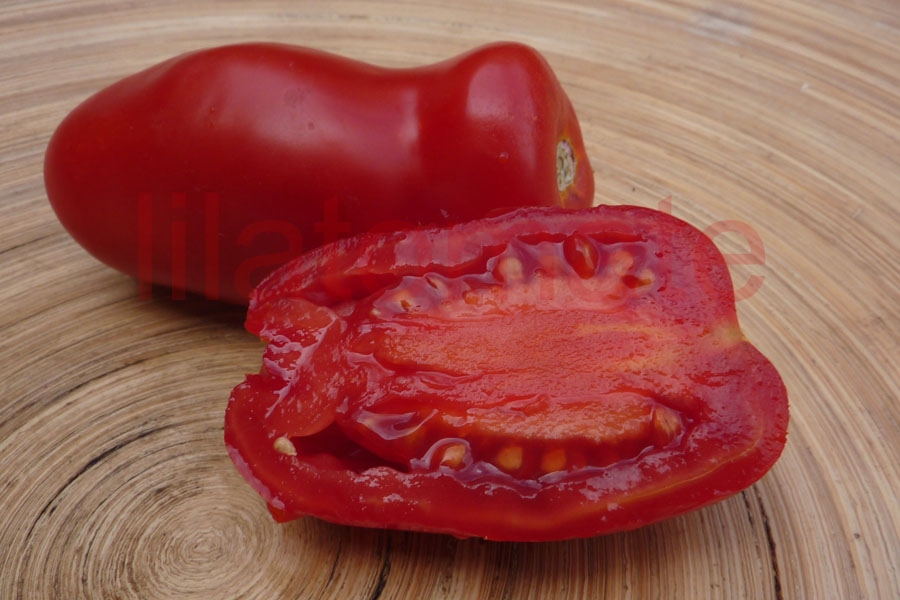 Tomate 'San Marzano' 