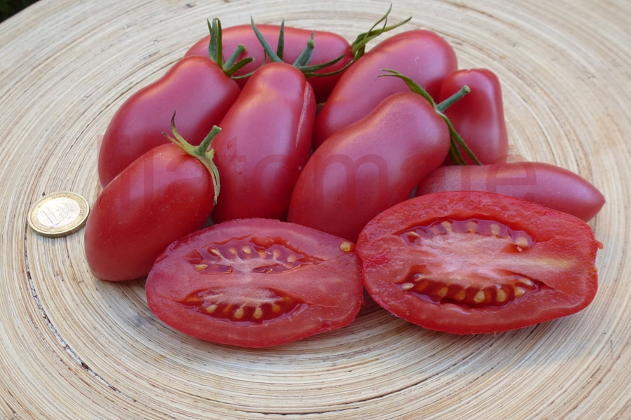 Tomate 'Kaukasische Liane' Saatgut