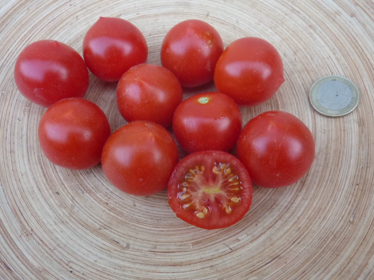 Tomate 'Sieger x Rutje AT'