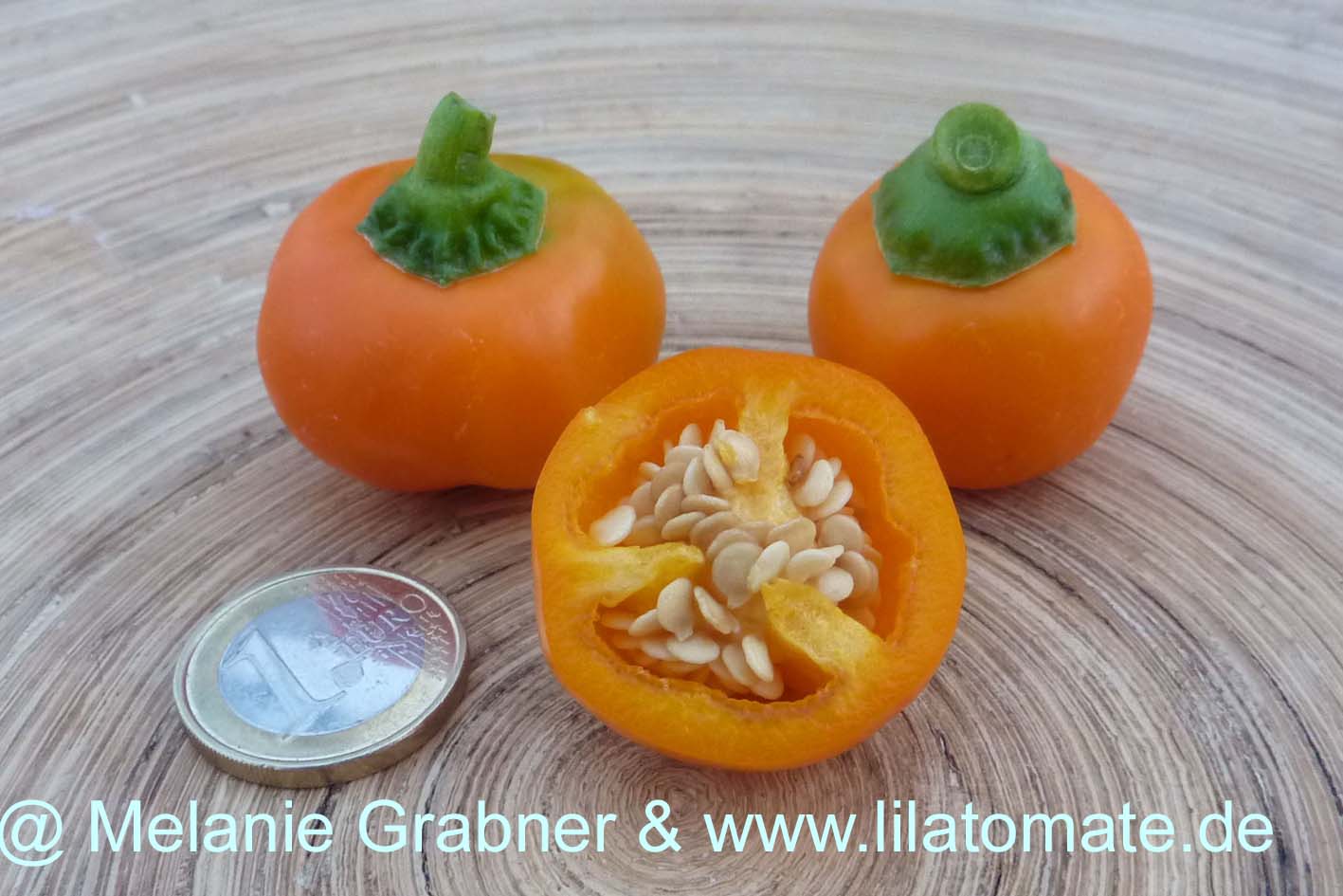 Paprika 'Minipaprika, gelb'  'Sweet Julie'