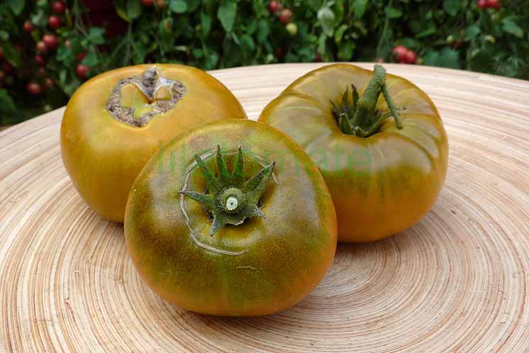 Tomate 'Smaragdapfel' 