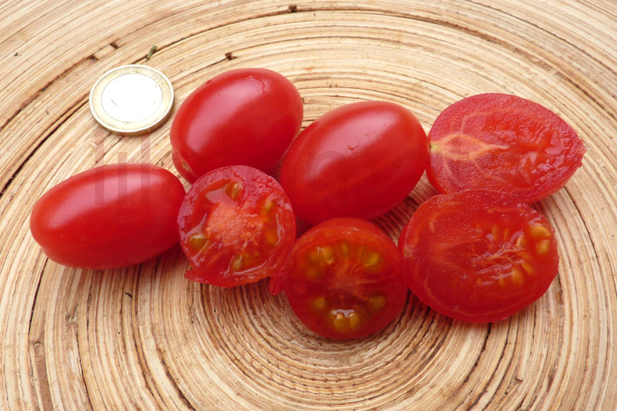 Tomate 'Rosarote Datteltomate AT' Arbeitstitel