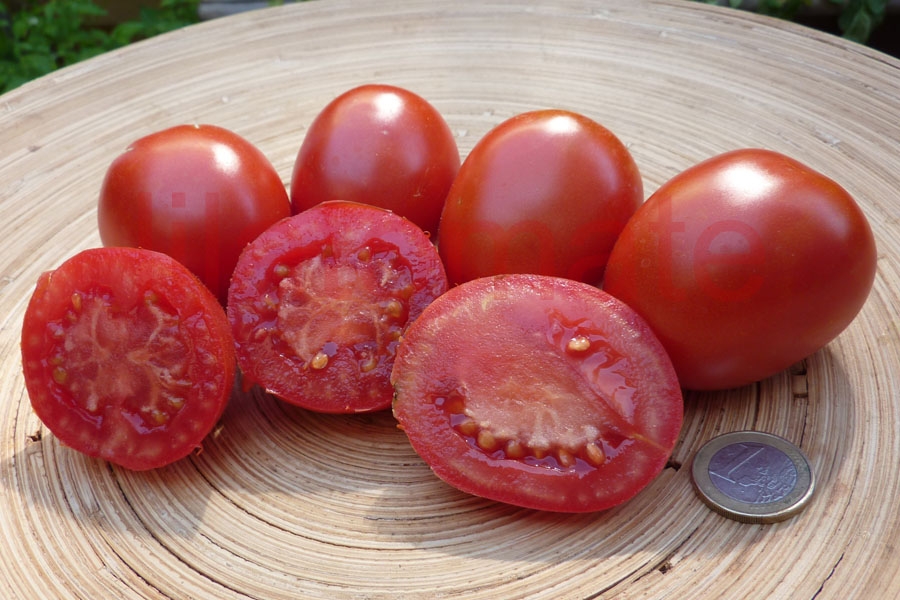 Tomate 'Omas Beste' 