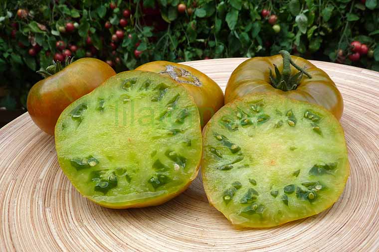 Tomate 'Smaragdapfel' 