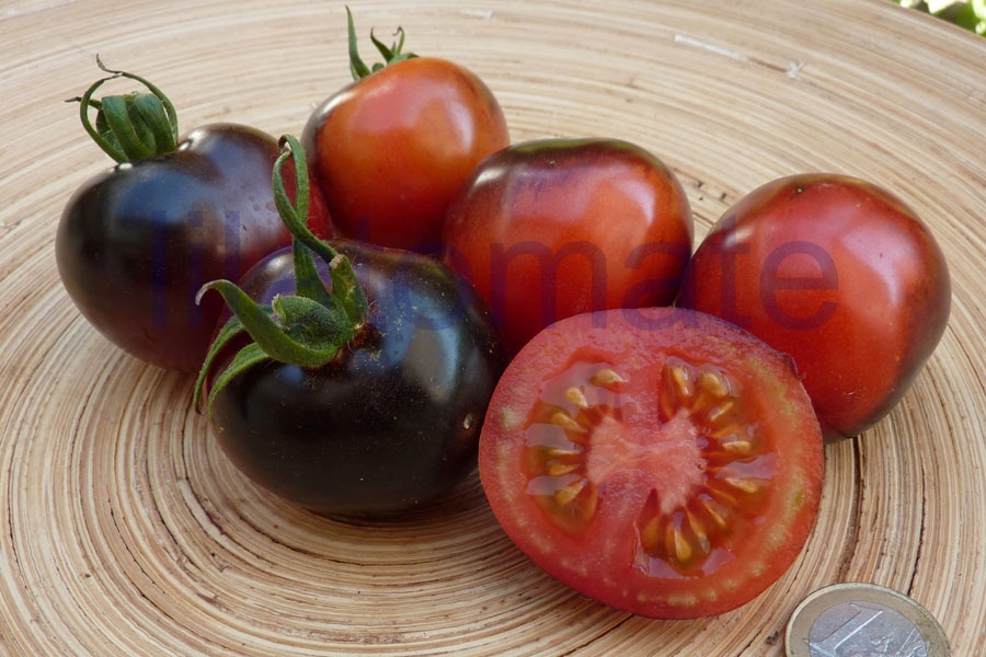 Tomate 'Osu Blue' 