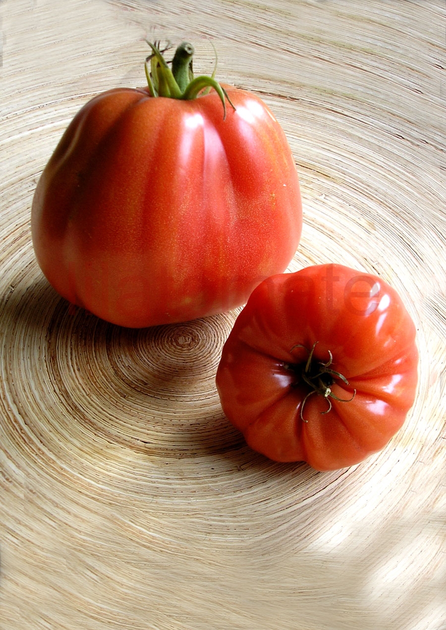 Tomate 'Herztomate aus Neuseeland' (Arbeitstitel) Saatgut