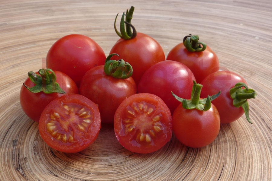 Tomate 'Humboltii Wildtomate' 