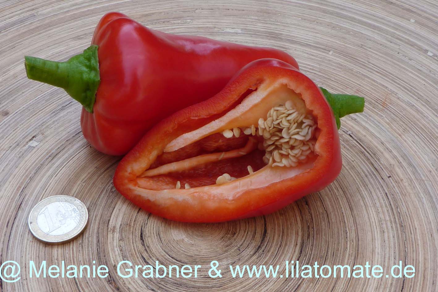 Paprika 'Apple Sweet Pimiento' oder 'Fritz'