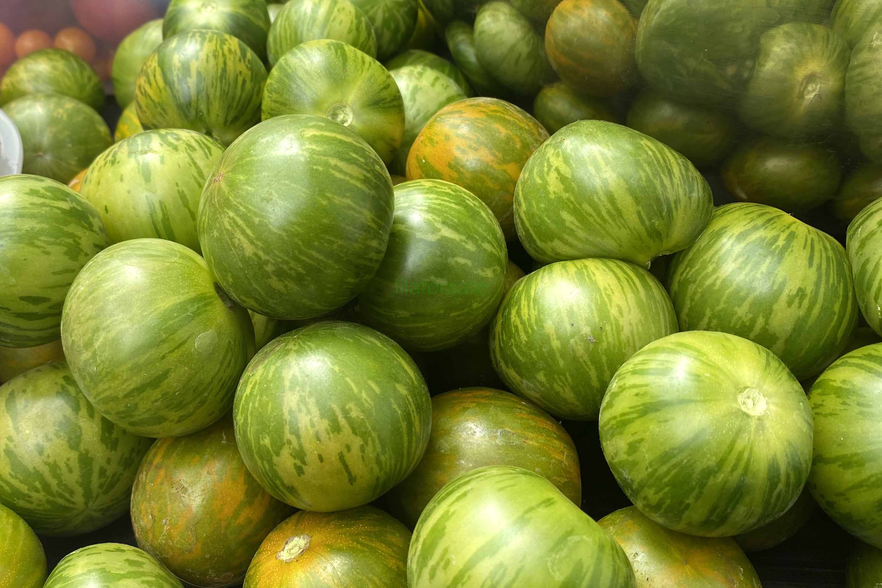 Tomate 'Grüne Zebra, Cherry'   ('Green Zebra, Cherry')