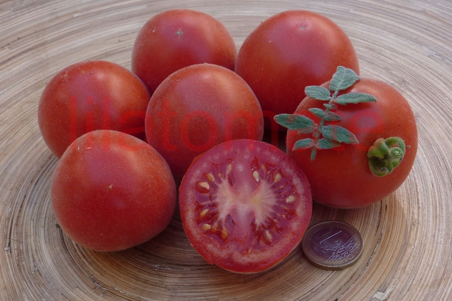 Tomate 'Roter Pfirsich' 